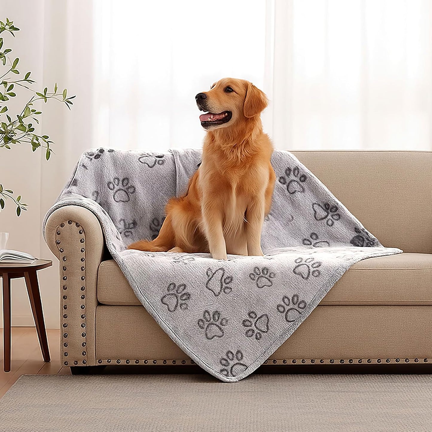 41" x 30" Dog Blankets for Medium Dogs, Cat, Premium Soft Dog Blankets for Small Dog Washable, Puppy Blanket Dogs Essentials for Puppies (Grey)