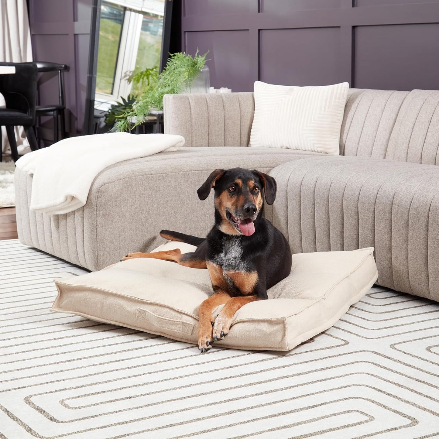 Happy Hounds Milo Square Tufted Pillow Dog Bed, Cream, Medium (32" x 32")