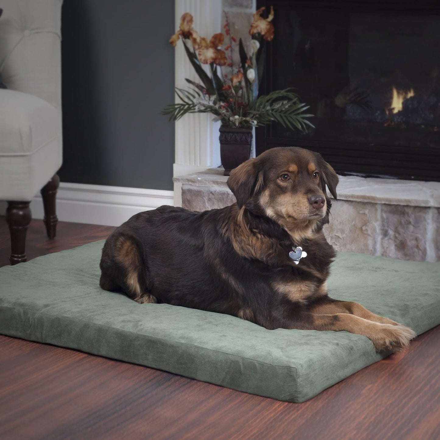 PETMAKER Dog Bed with Removable Cover – 25.5x19 Pet Bed - 3-Inch Egg Crate Style Foam Orthopedic Dog Bed, Microsuede, Non-Slip Crate Bed (Forest) (Pack of 3)