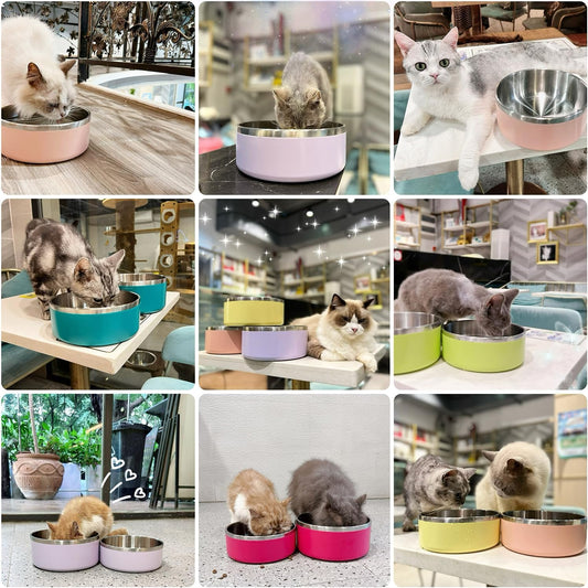 IKITCHEN Dog Bowl for Food and Water, 40 Oz Stainless Steel Pet Feeding Bowl, Durable Non-Skid Insulated Heavy Duty with Rubber Bottom for Medium Large Dogs (40 Ounces/5 Cup, Light Purple)