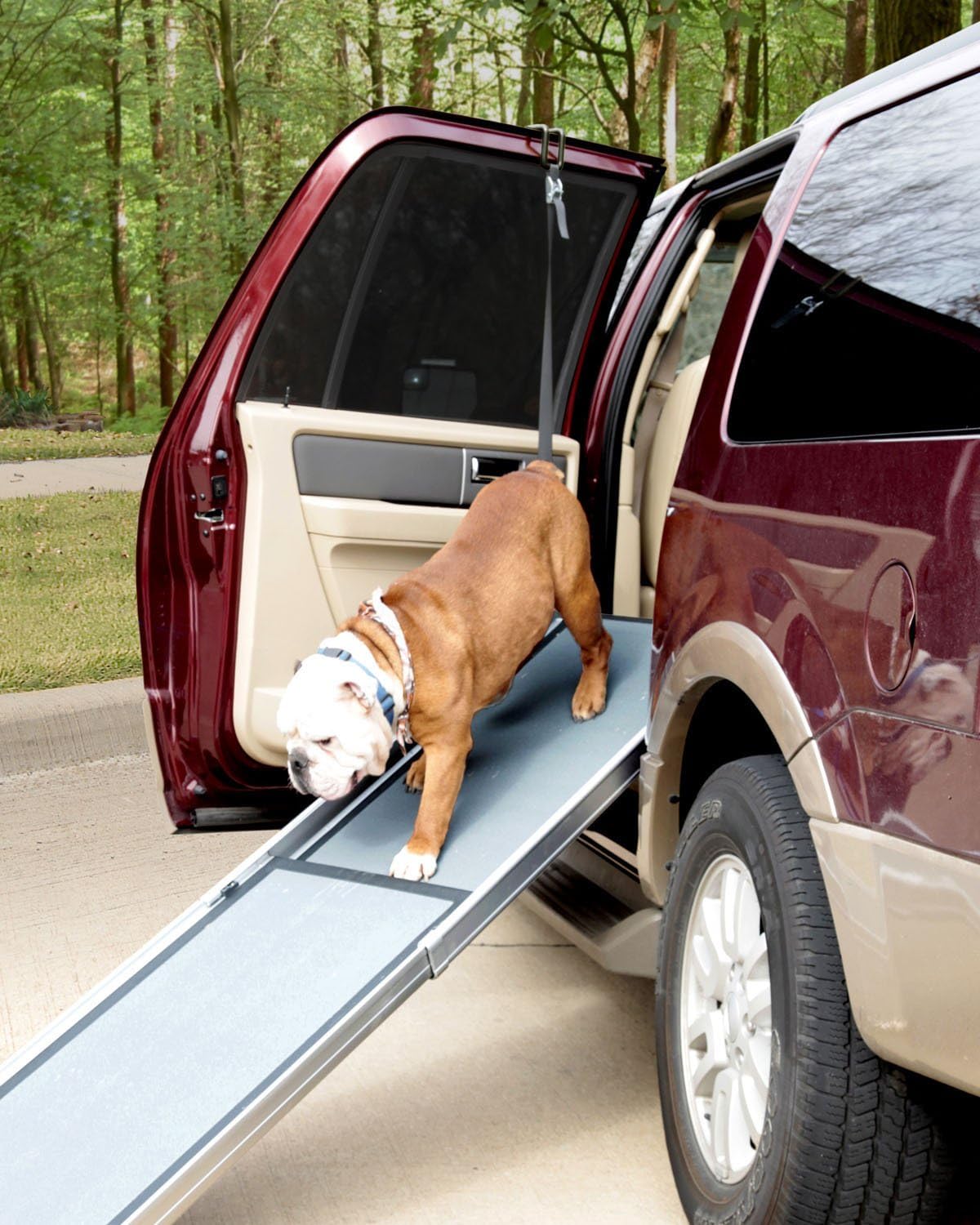 PetSafe Happy Ride Telescoping Dog Ramp for Cars, Trucks, & SUVs + Side Door Access Adaptor
