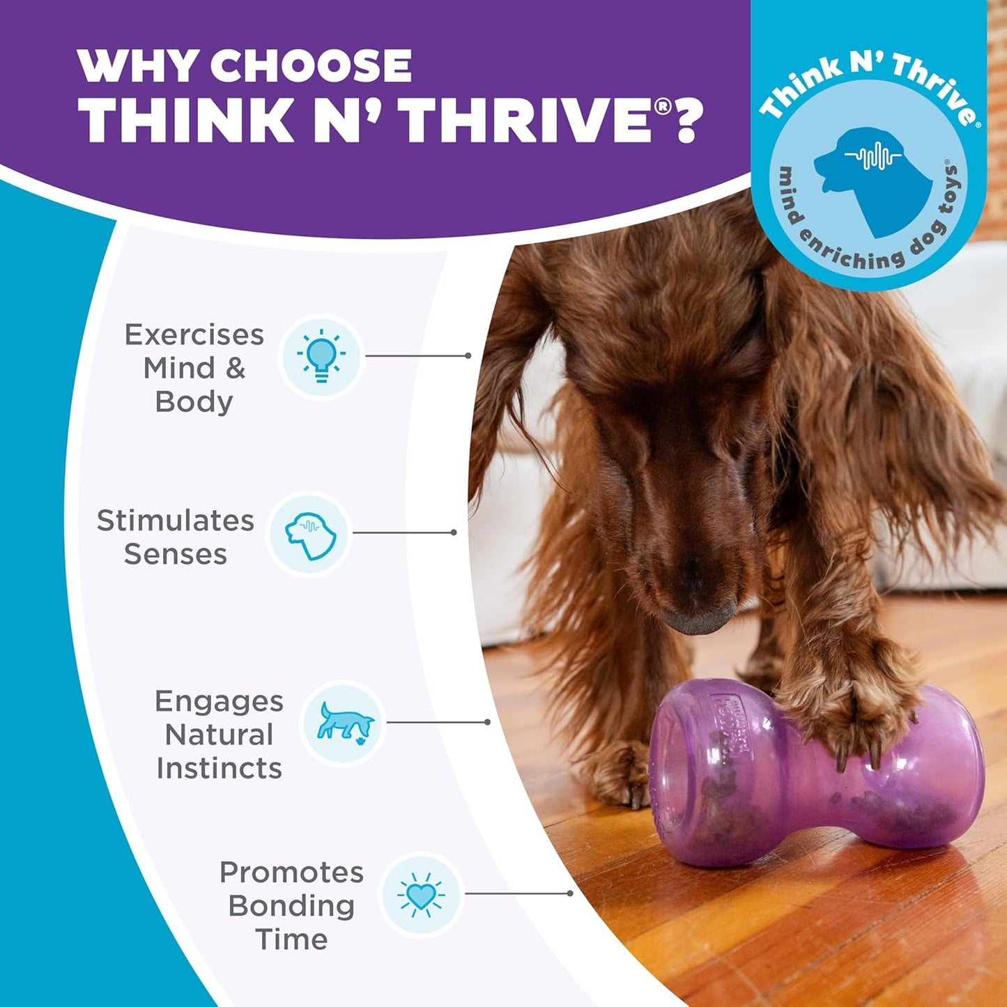 Outward Hound Double Snoop Interactive Treat Dispensing Dog Toy, Puzzle Ball Slow Feeder for Medium to Large Dogs, Mint-Scented for Mental Stimulation & Boredom Relief, 6in x 4in