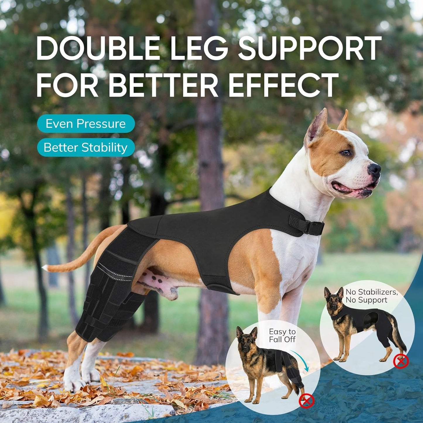 Adjustable Dog Knee Brace for ACL Tear and Arthritis Recovery - Dual Hind Legs Support with Harness Connection - Orthopedic Leg Wrap for Joint Stability and Pain Relief in Small to Large Dogs (M)