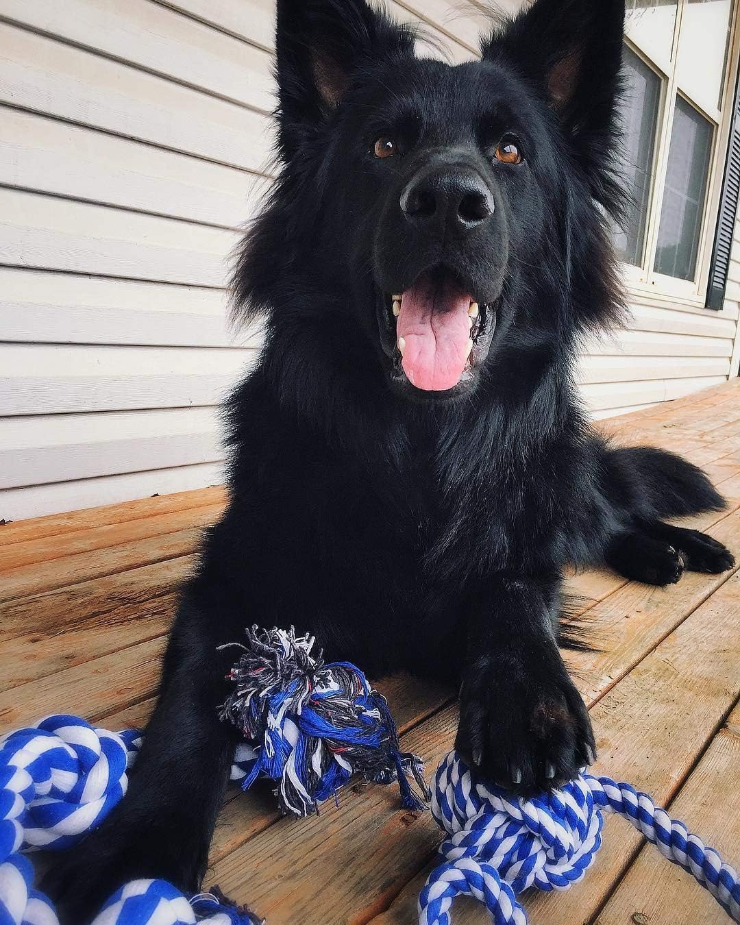 Rope Toys for Large Dogs & Puppies 4-Pack – Natural Cotton Rubber Tug-of-War Toy Set – Tough Dog Toys for Aggressive Chewers Improve Dental Hygiene – Machine-Washable Dog Rope Toy Ropes