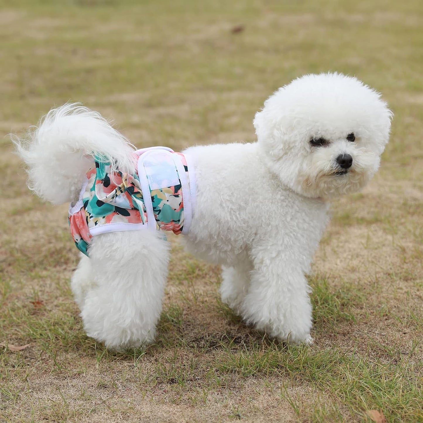 Washable Dog Diapers Female 3 Pack Reusable Highly Absorbent Doggie Diaper, Flexible Doggy Diaper Female Durable Leak-Proof Diapers for Dog Period Heat Incontinence Potty Training, XS