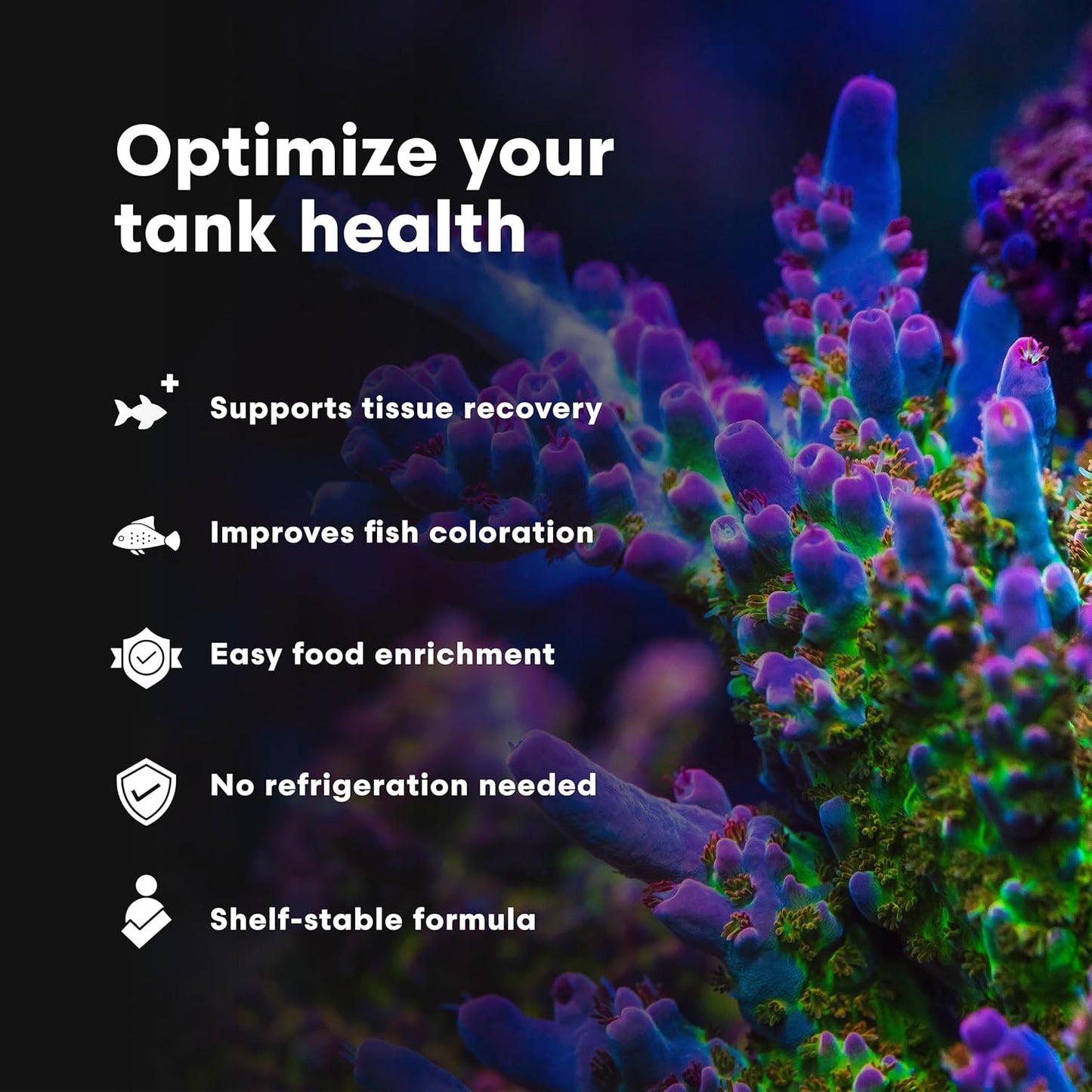Brightwell Aquatics AminŌmega Amino Acid Omega-3 6 Supplement for Enriching Live Prepared Foods Supports Color Growth Recovery in Marine Fish Corals Inverts, 125 ml