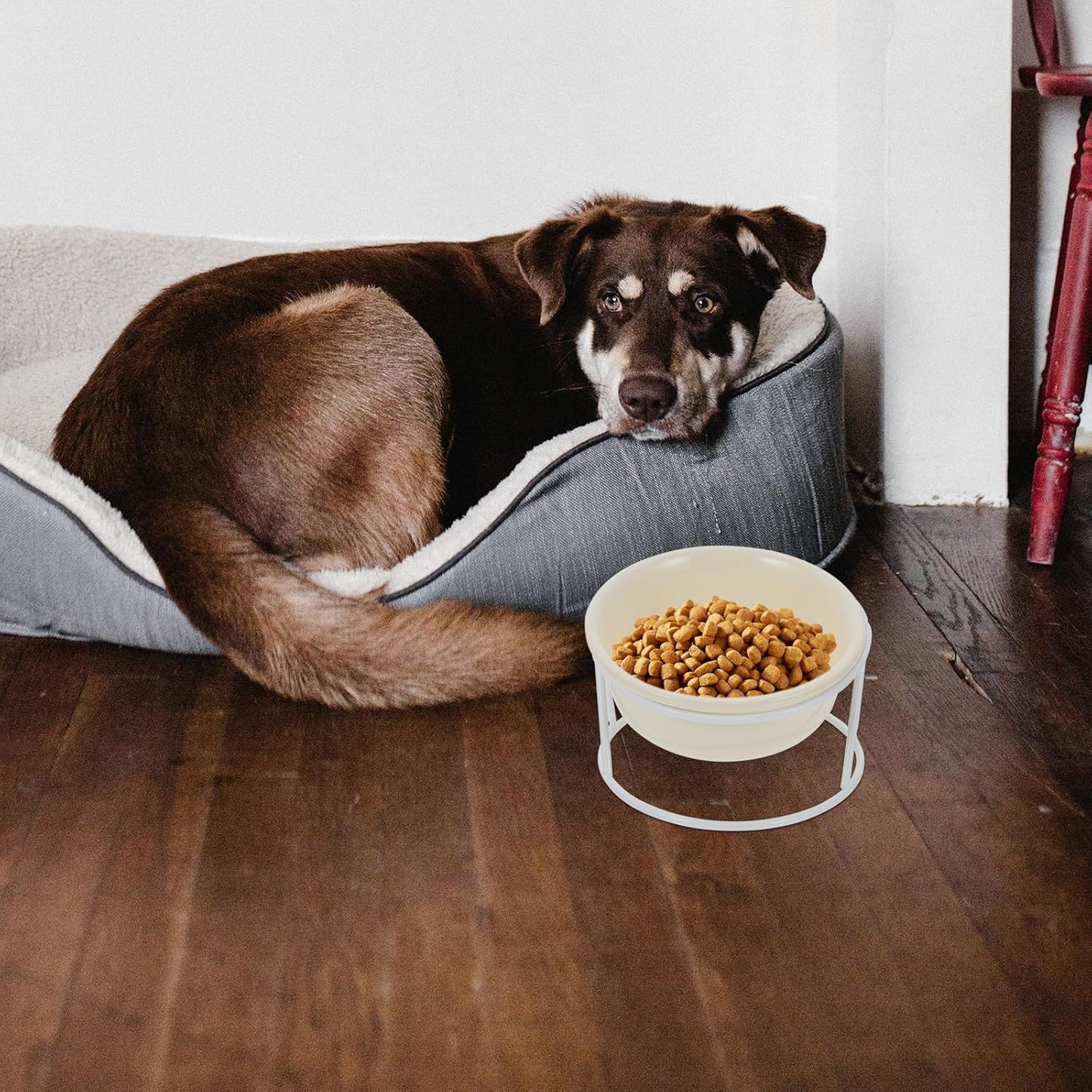 Milisten Ceramic Elevated Cat Food Bowl with Iron Stand Pet Food Holder and Water Dish Raised Feeding Bowl for Cats and Dogs Neck Protection Design for Home Use