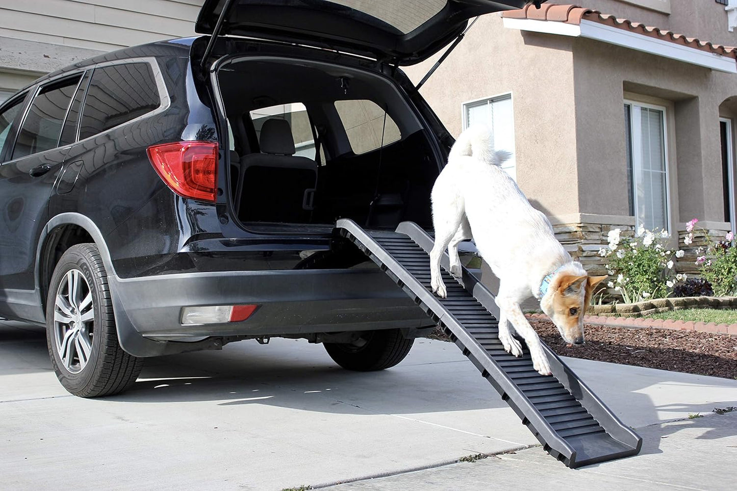 MaxWorks 50524 61" Portable Folding Pet Ramp, Black (Pack of 2)