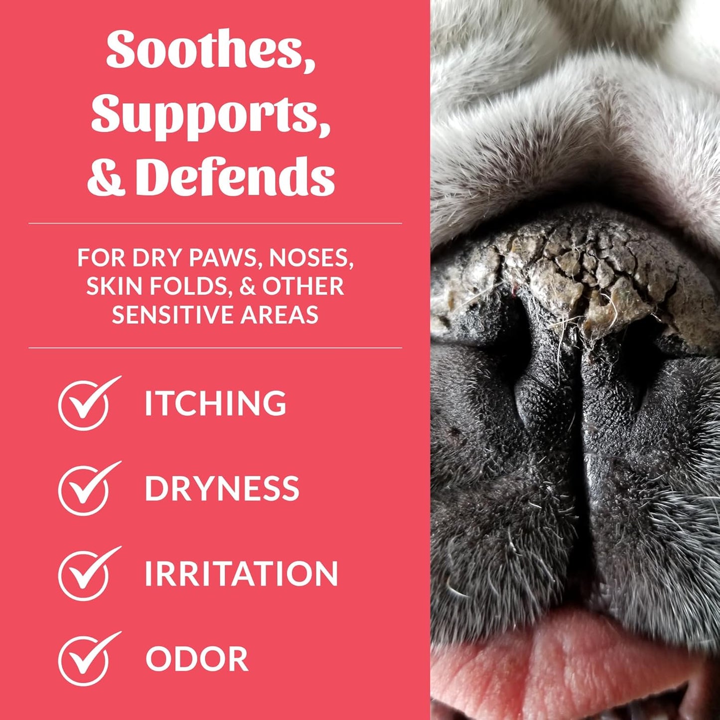 SKOUT'S HONOR Prebiotic Pet Balm - 100% Natural and Made w/Manuka Honey to Promote Healing of Your pet's paw Pads and Nose, Soothes Dry, Itchy Paws and Noses - Safe for Cats and Dogs, 2oz