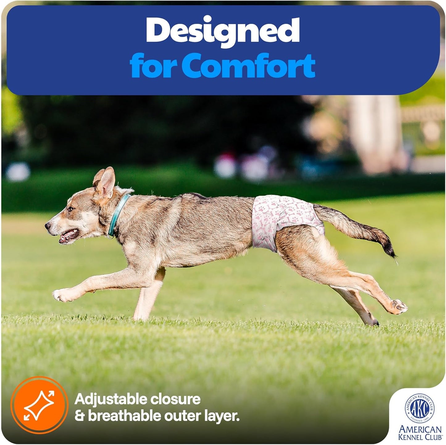 American Kennel Club Female Dog Wrap, Disposable Diapers with Wetness Indicator, Small, 50 Count