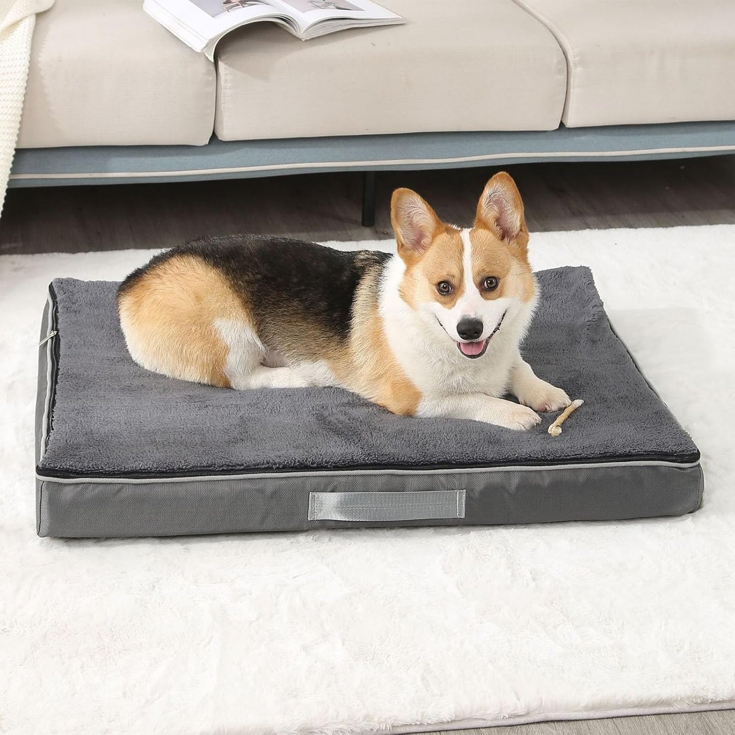 Orthopedic Dog Beds Extra Large Sized Dog, Big Memory Foam Dog Couch Beds with Removable Washable Cover,Waterproof (120x75x10CM/47x30x3.9inch) (90x70x10CM/35.4x27.6x3.9inch)