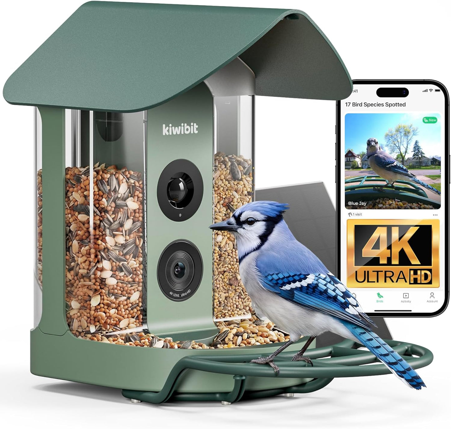 Smart Bird Feeder 4K AI Camera With Solar Panel For Outdoors, Bird Species Identification, 8MP Photos, 4K Video Livestream, Real-Time Bird Alerts, Birdwatching Gifts For Bird Lovers, Sage Pine