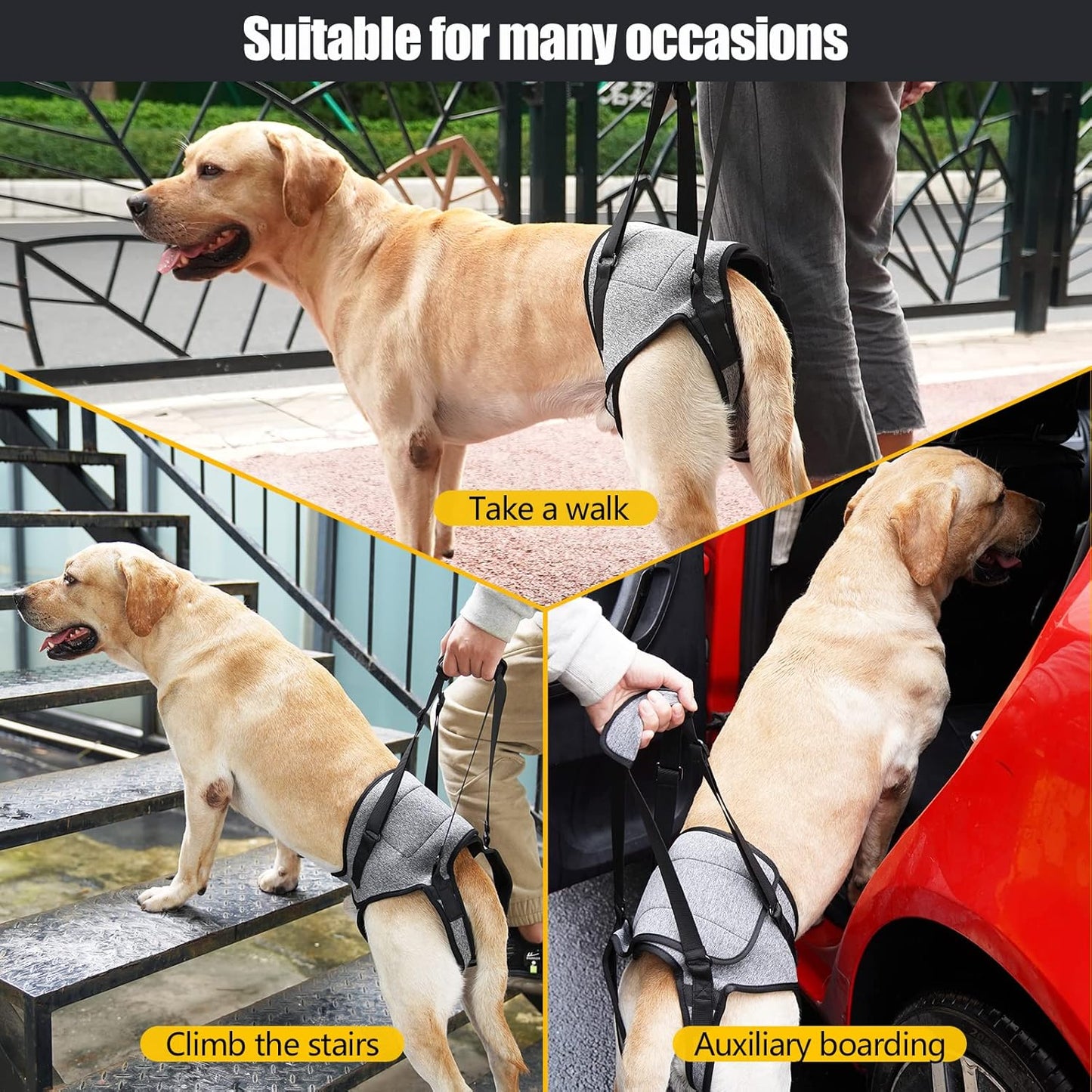 Dog Lift Harness for Dogs, Support Harness for Back Legs, Adjustable Rear Support Harness Grey Large