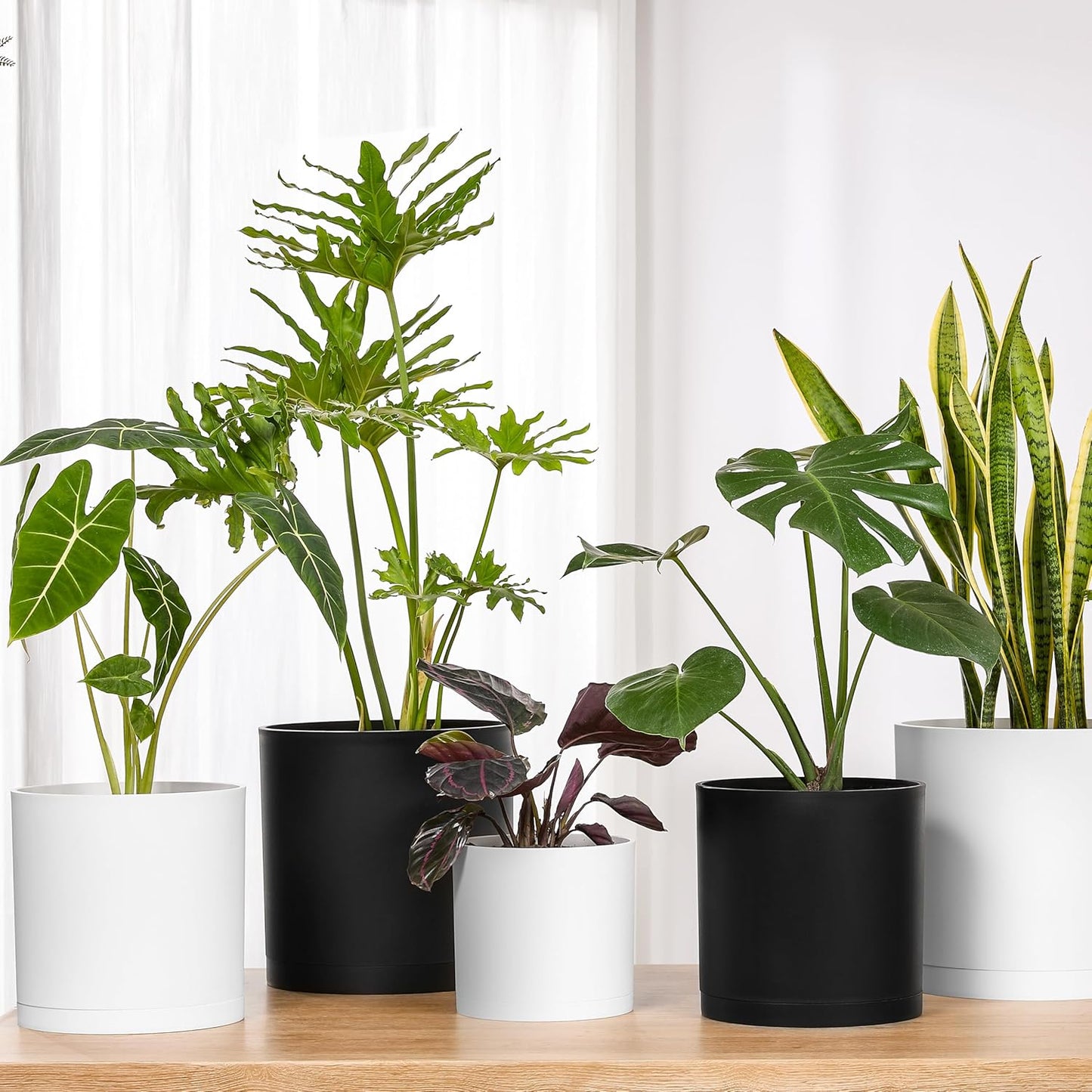 FaithLand 8-Inch Modern Cylinder Planter, Thick-Walled Plastic Plant Pot with Drainage Holes and Detachable Saucer, Matte White, Ideal for Indoor & Outdoor Plants Flowers