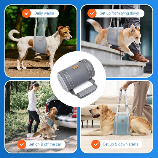 Dog Lift Harness for Large Dogs, Adjustable Dog Sling for Back Legs, Hip Support Harness to Help Lift Dogs Rear for Helps Senior, Injured, Disabled and After ACL Surgery Dogs - Large, Grey