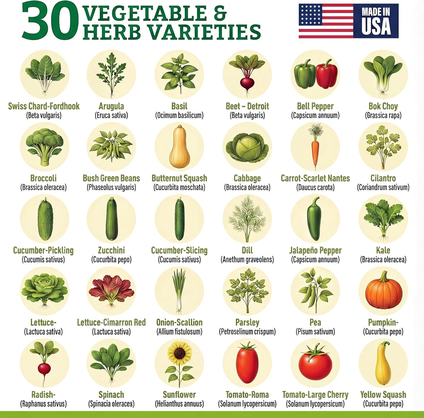 Culinary Vegetable & Herb Seeds Variety Pack - 30 Heirloom Non-GMO Garden Seeds for Planting, Seed Kit with Tools, Made in USA