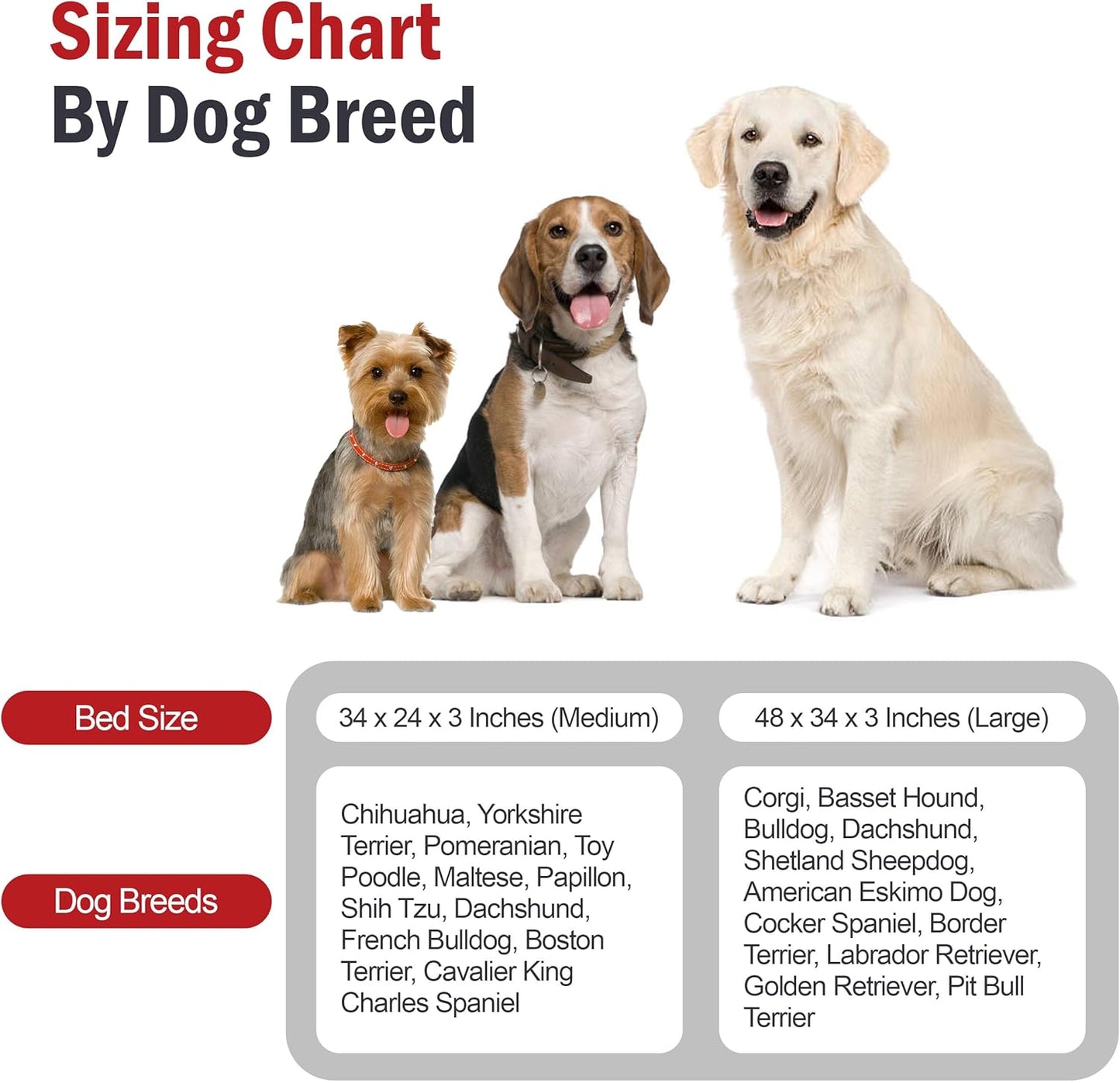 Majestic Pet 34x24x3 Inch Red Orthopedic Memory Foam Rectangle Dog Bed – Medium Size Crate Dog Bed for Dogs with Joint Pain, Arthritis – Durable Pet Mattress with Egg Crate Foam, Washable Cover