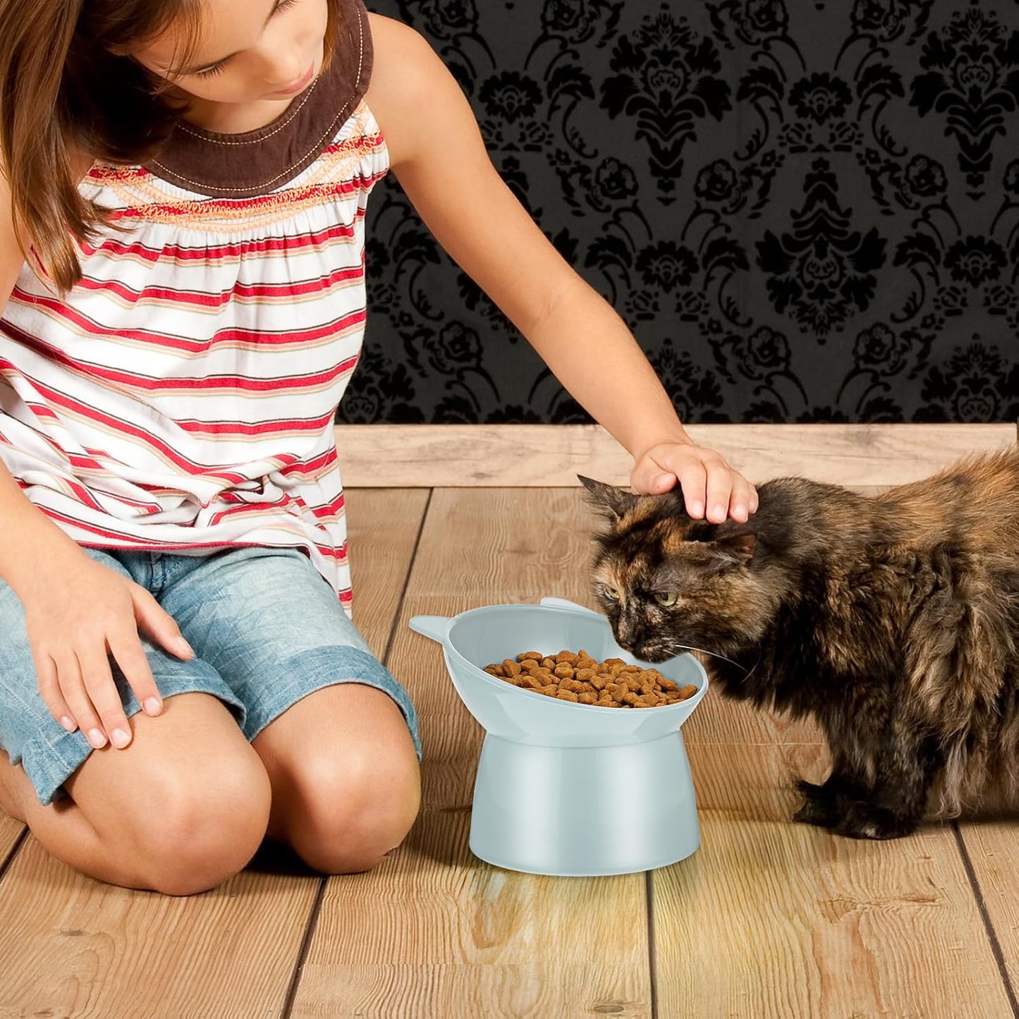 6 Pcs Plastic Raised Cats Bowls 15 Degrees Elevated Cat Bowls, Anti Vomiting Tilted Raised Cat Food Bowl Whisker Friendly Pet Bowl Stand, Pet Feeders for Cats and Small Dogs