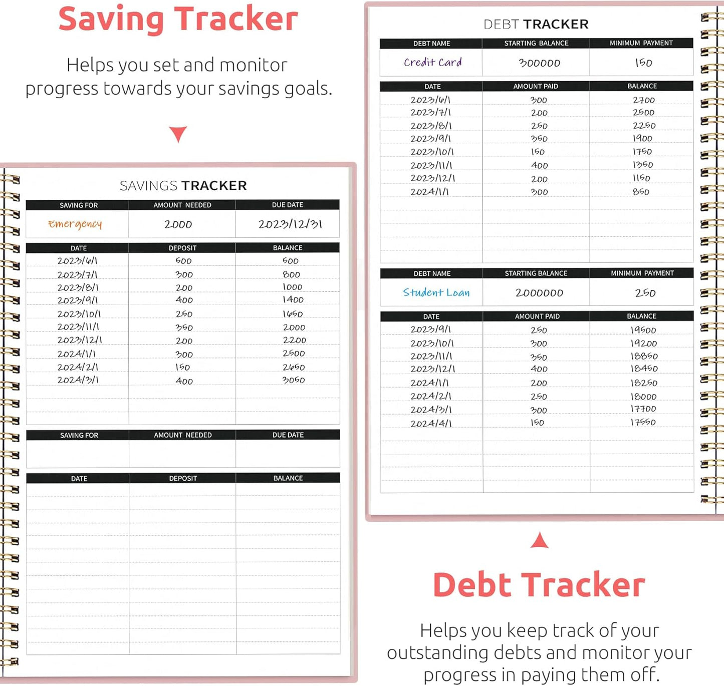 Budget Planner - Monthly Budget Book with Expense Tracker Notebook, Undated Bill Organizer & Finance Planner to Take Control of Your Money, Account Book to Manage Your Finances-Pink