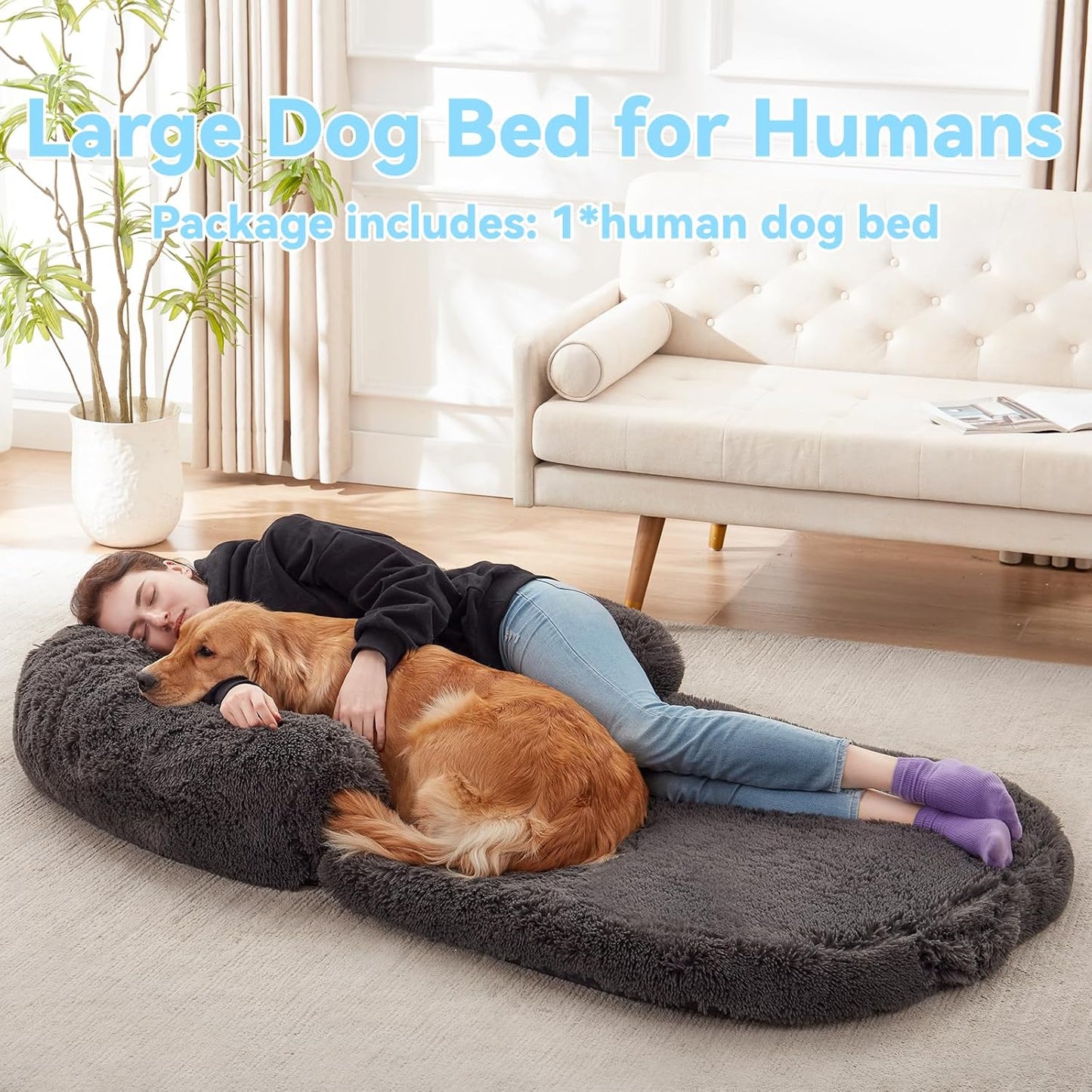 Human Dog Bed - 자이언트 접이식 정형외과 플러시 조절 가능한 소파 베드, 182.9cm x 109.2cm x 25.4cm(72x43x10인치) 다크 그레이 플러시