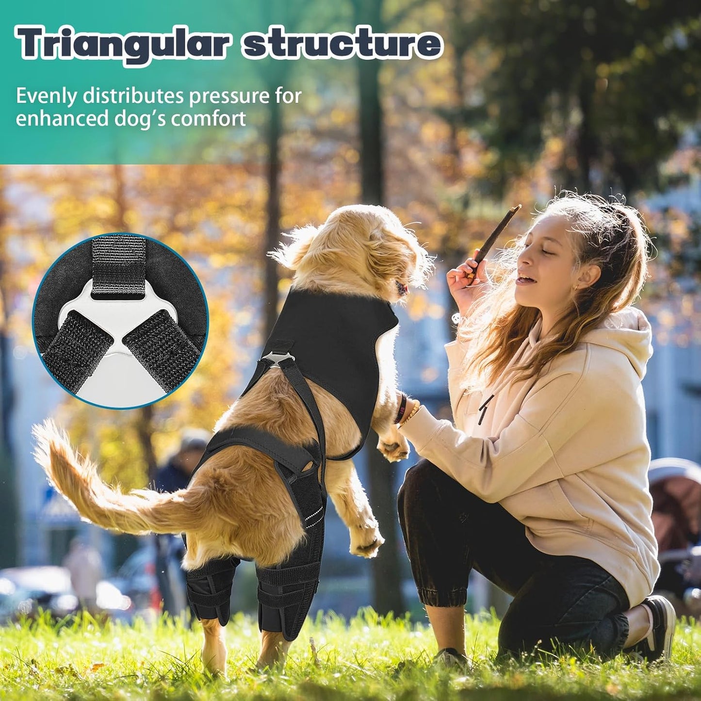 Dog Knee Brace for Torn Acl Hind Leg, Adjustable for Back Leg with 4 Stabilizers, Hip Support to Reduces Pain, Ligament Injuries & Luxating Patella for Small Medium Large Dogs,(Black-S)