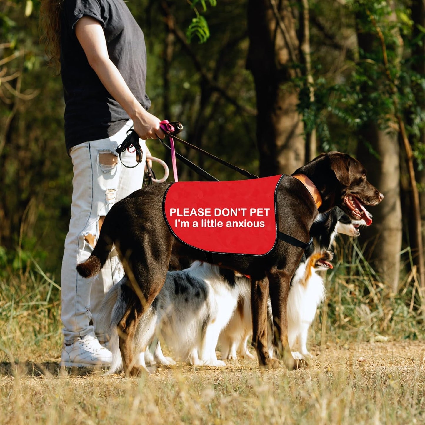 HOLLP Anxious Dog Jacket 'PLEASE DON'T PET I'm A Little Anxious' Red Christmas Dog Gift (Little Anxious-Large)