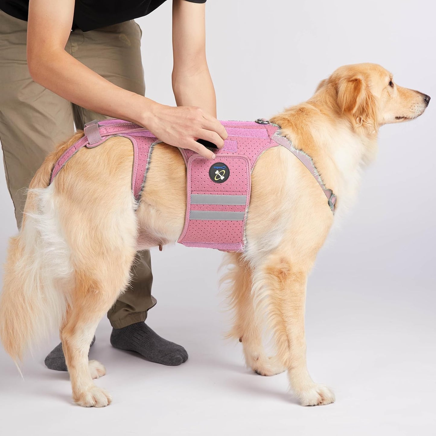 Coodeo Dog Back Brace for Dogs Arthritis, Pet Back Bracer for IVDD, Back Protector Helps Pain Relief, Surgical Recovery and Rehabilitation, Dogs Back Disease Prevention. (Pink,Medium)