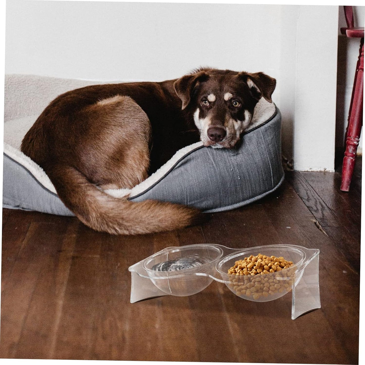 TOYANDONA Elevated Double PET Bowls Acrylic Cat and Dog Food Water Bowl Set Neck Protective Feeding Station for Cats and Kittens Sturdy and Easy to Clean