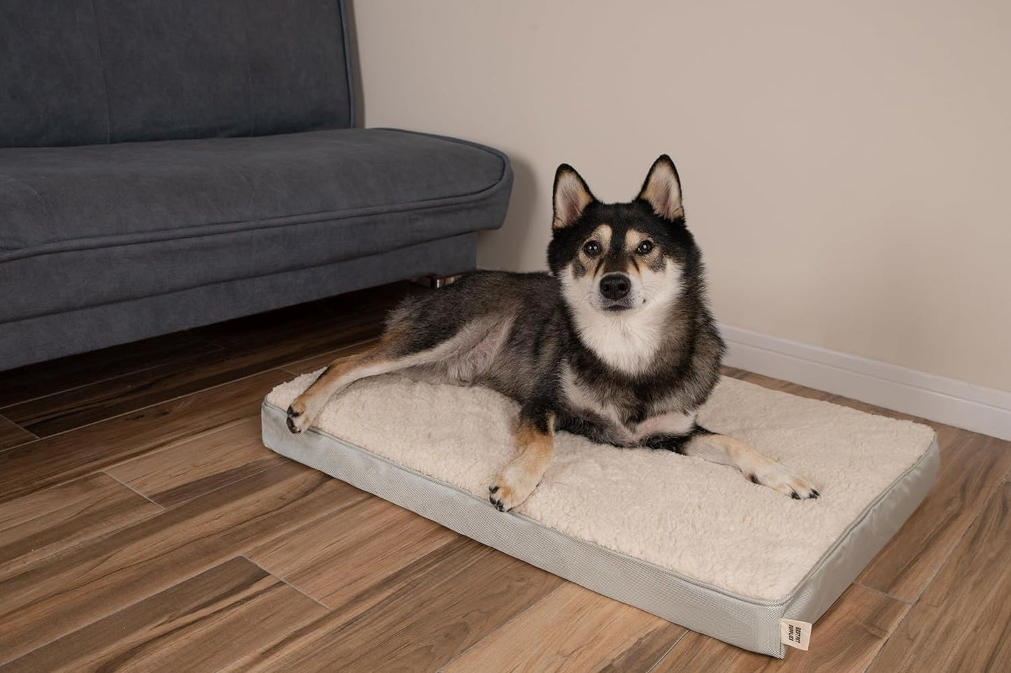 Best Pet Supplies Soft Plush Cute Indoor Dog Bed for Small, Medium, and Large Breeds - Beige, 24x16x3