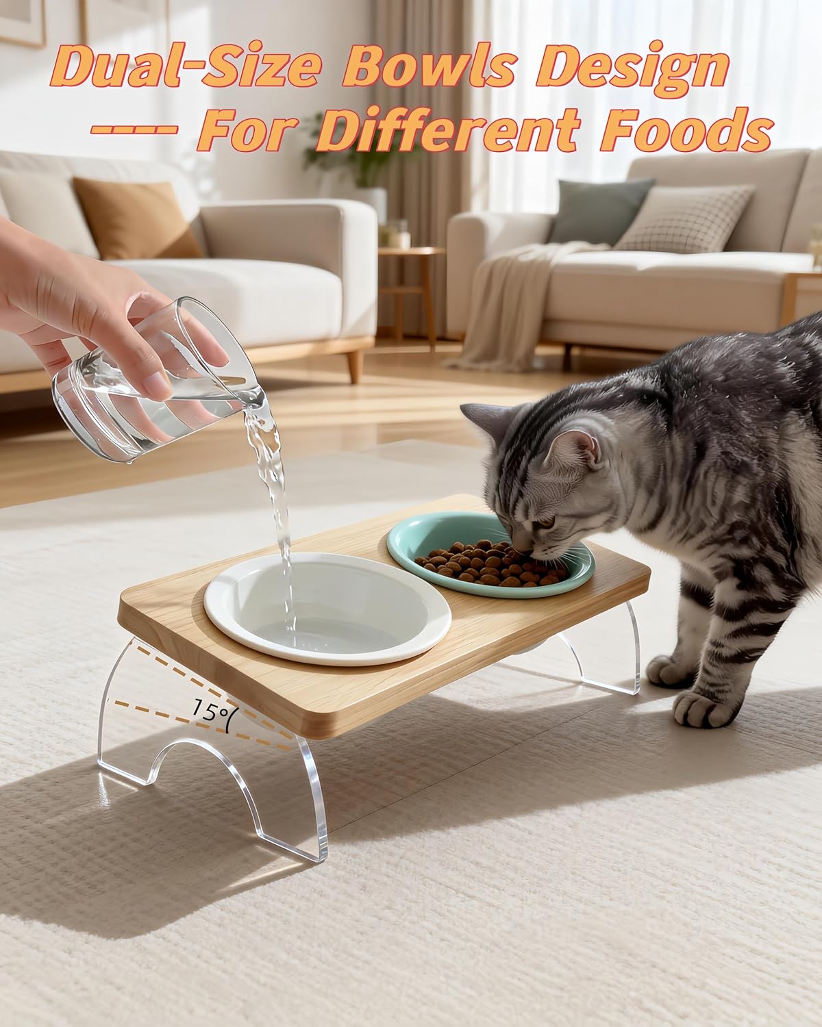 Elevated Cat Dog Bowl with Double Ceramic Bowls