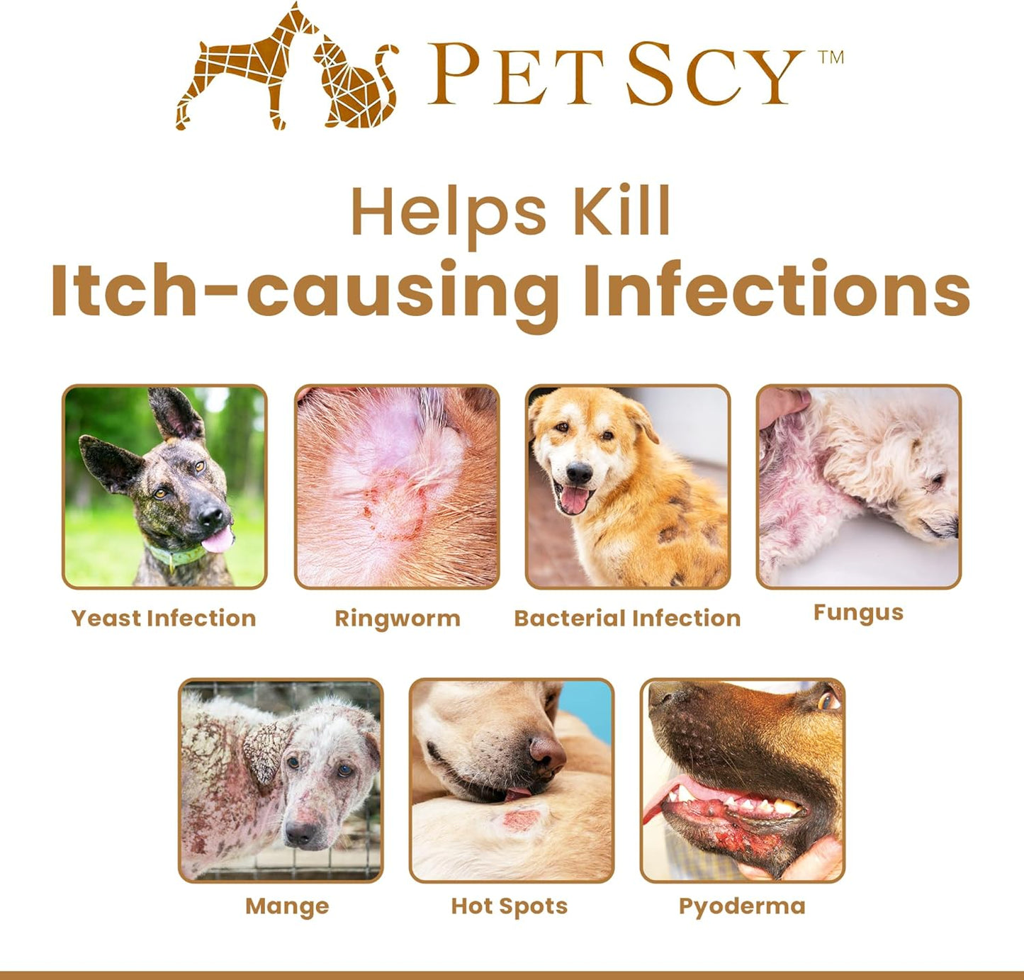 Petscy Keto Skin Travel Wipes - Antiseptic Dog Wipes for Paws, Ears, Facial Folds, Underarms & Other Sensitive Areas for Dogs & Cats – Aloe-Infused, Non-Greasy Formula (Travel)