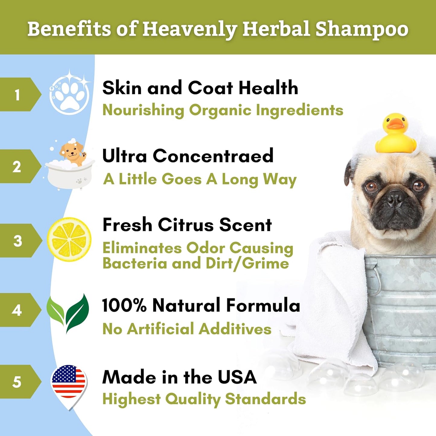 Wholistic Pet Organics Pet Shampoo Concentrate: USDA Organic Cat and Dog Shampoo for Sensitive Skin and Coat Support - Mild and Non-Irritating, Natural, Non-Toxic, Sulfate-Free, & Cruelty-Free - 8 Oz