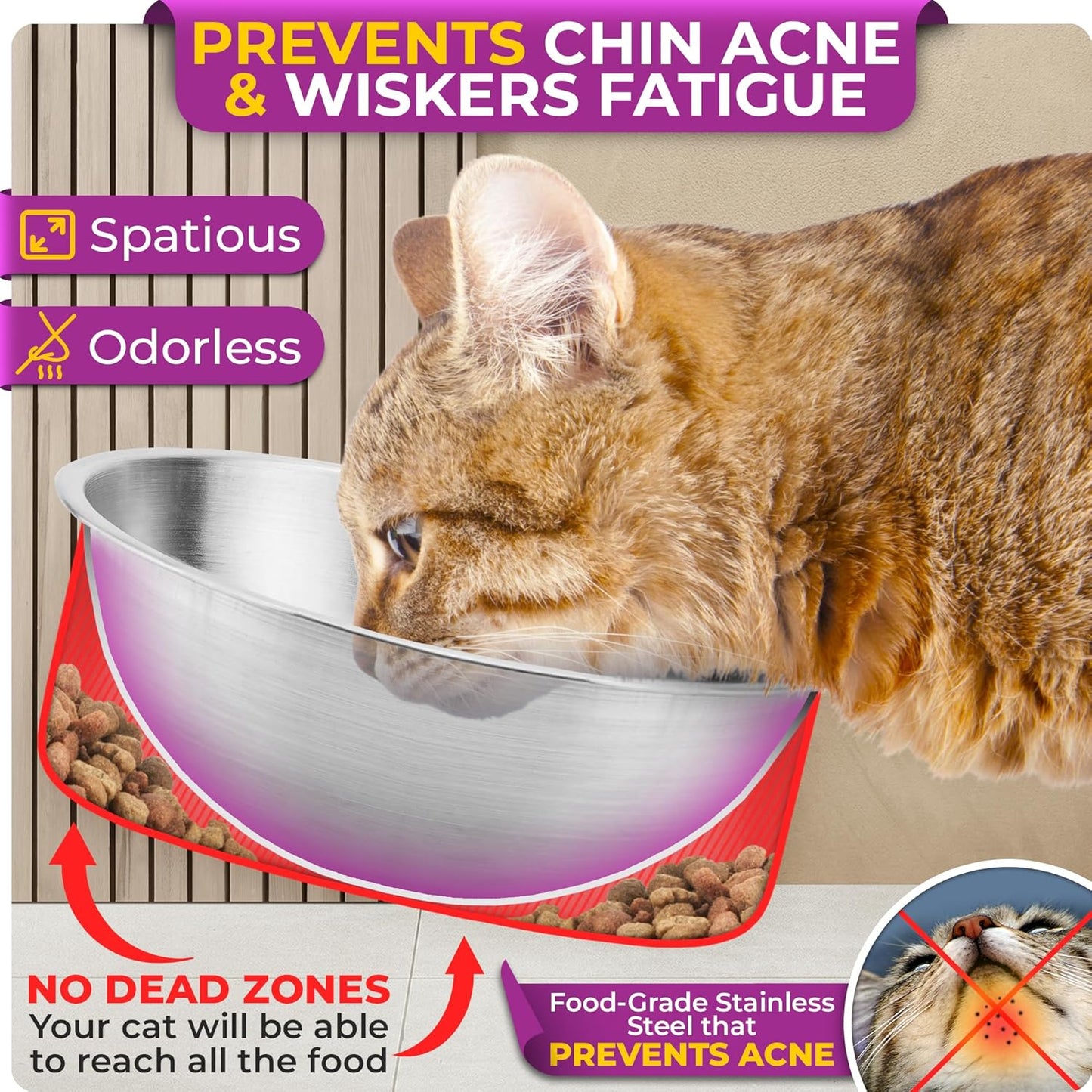 Raised cat Bowls for Indoor Cats by WinTruffles, Elevated cat Bowls, Tilted and Elevated Anti Vomiting Cat Dishes for Food and Water, Set of 3 Stainless Steel Bowl