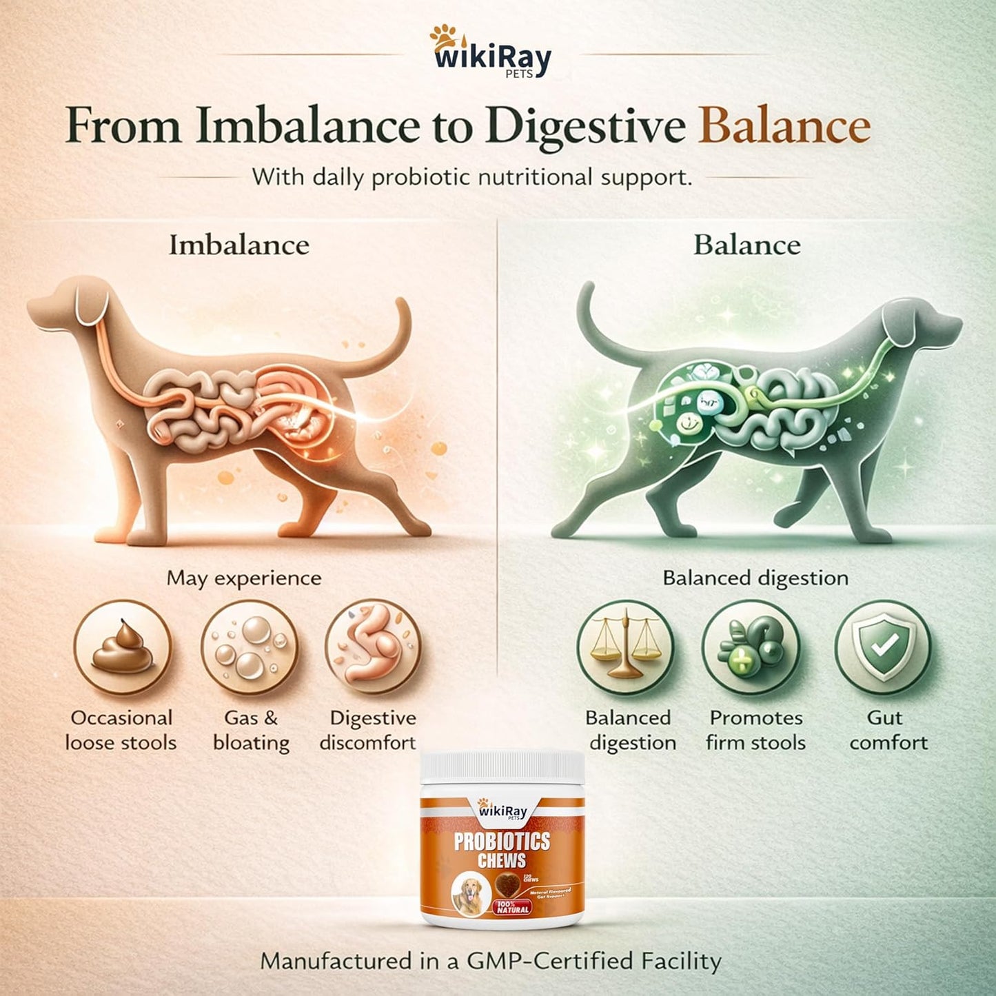 wikiRay Probiotics for Dogs – Soft Chews for Digestive Health & Immunity | 120 Chews | 3 Billion CFU, Pumpkin, Enzymes, Vitamins & Prebiotics | Made with Natural Ingredients
