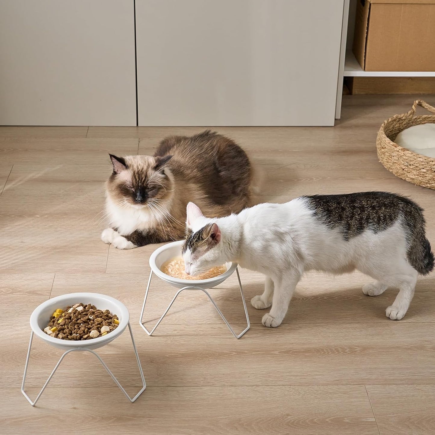 2-Pack Ceramic Raised Cat Bowls for Food and Water, Elevated Pet Dishes Bowls with Stand, Cats and Small Dogs, Dishwasher Safe