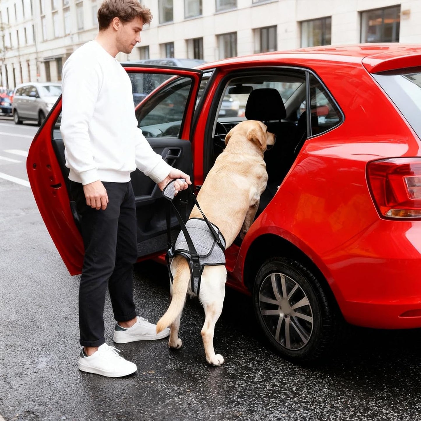 Dog Assist Harness, Elastic Quick Release Carrier, Assistance Harness with Handle, Dog Strap with Support for Weak Rear Legs, Pet Accessories, Pet Tool for Indoor Walking Daily Use