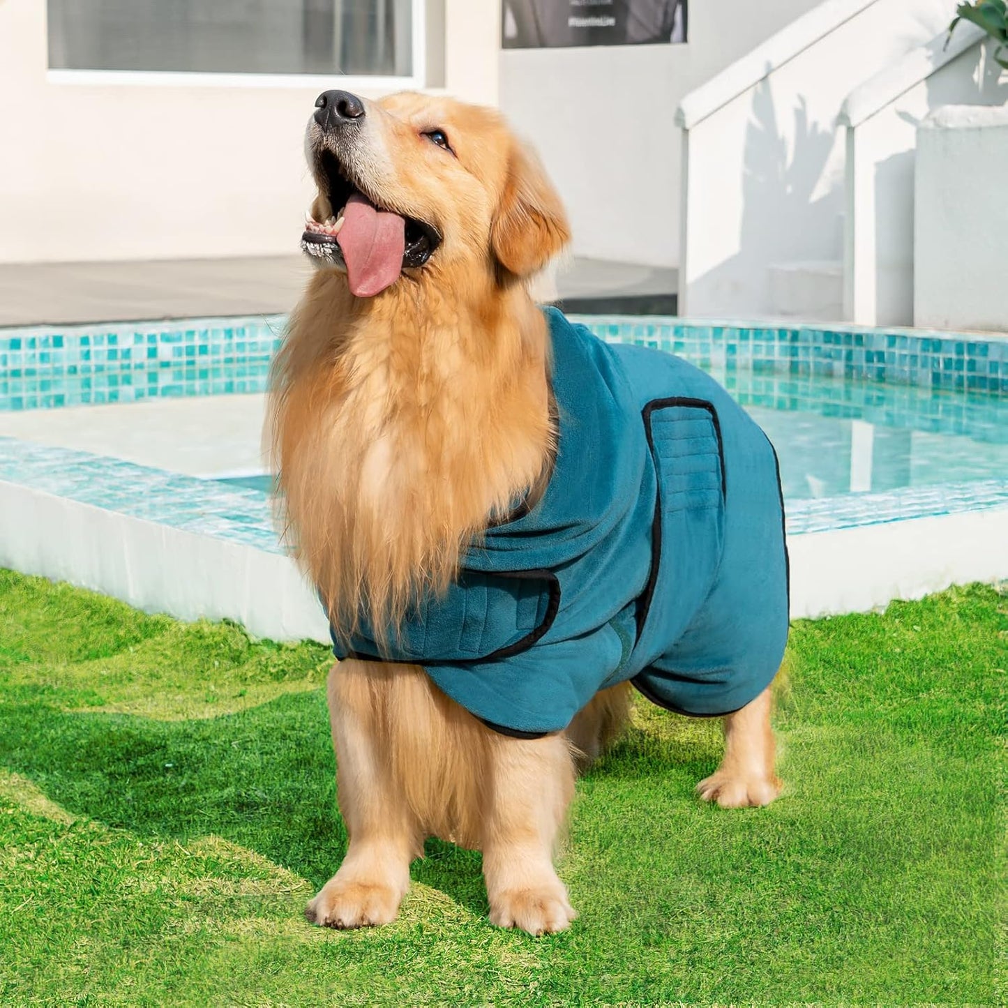 Avont Dog Bathrobe - Super Absorbent Pet Drying Towel Bath Robes After Bath Shower Swim Wet Walk for Puppies -Blue(XL)