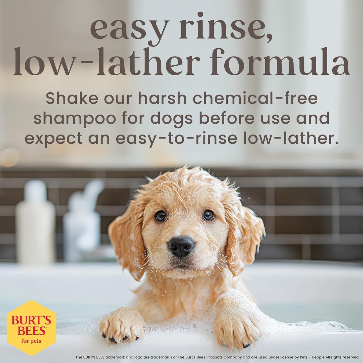 Burt's Bees for Pets Tearless Puppy Shampoo with Buttermilk and Flaxseed Oil, Gentle Dog Shampoo for Puppies 8+ Weeks, Fragrance Free Coat Cleanser with 95% Natural Origin Formula, 16 Fl Oz - 2 Pack