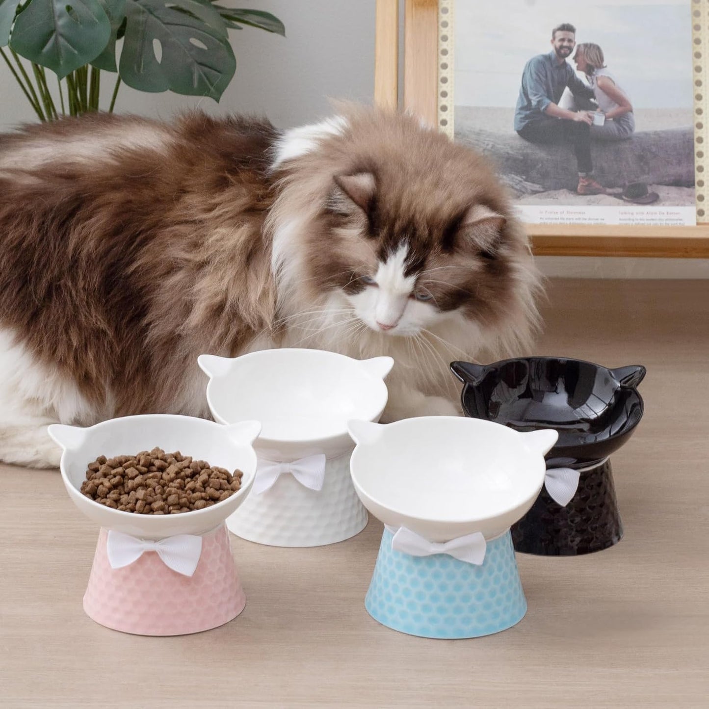 Ceramic Elevated Cat Bowl, Tilted Raised Pet Dish for Indoor Cats, Anti-Vomit & Whisker Friendly Cat Food Bowl, Cute One-Piece Stand, Microwave & Dishwasher Safe
