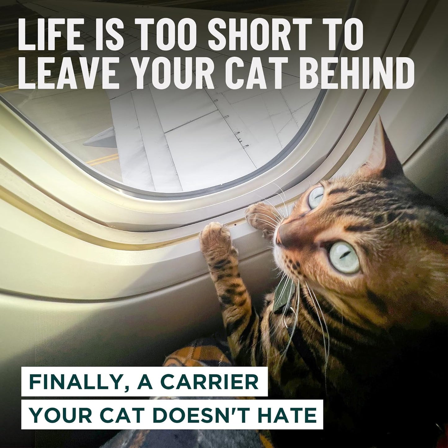 OutdoorBengal Zeppelin™ Airline-Approved Large Cat Carrier Soft – TSA-Approved Pet Carriers with Top Opening for Plane and Car Travel – Kittens or Small Dog Carrier (Black)