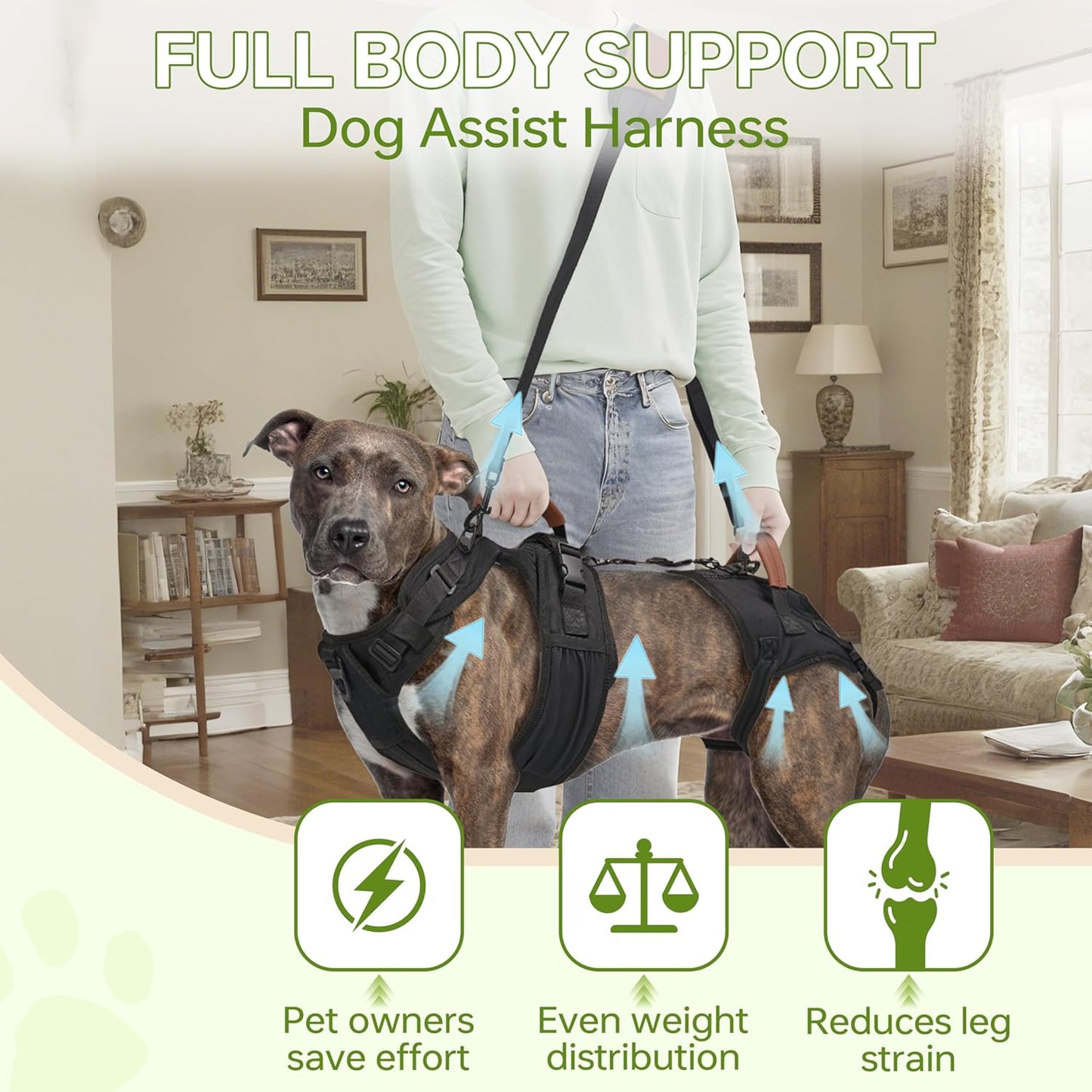 Dog Lift Harness for Male Dogs - 2-in-1 Full Body Support Aid & Sling, Comfortable & Chafe-Free for Post-Surgery Recovery and Elderly Dog Mobility, Hind Leg Assistance, Supports up to 27 Lbs (S)