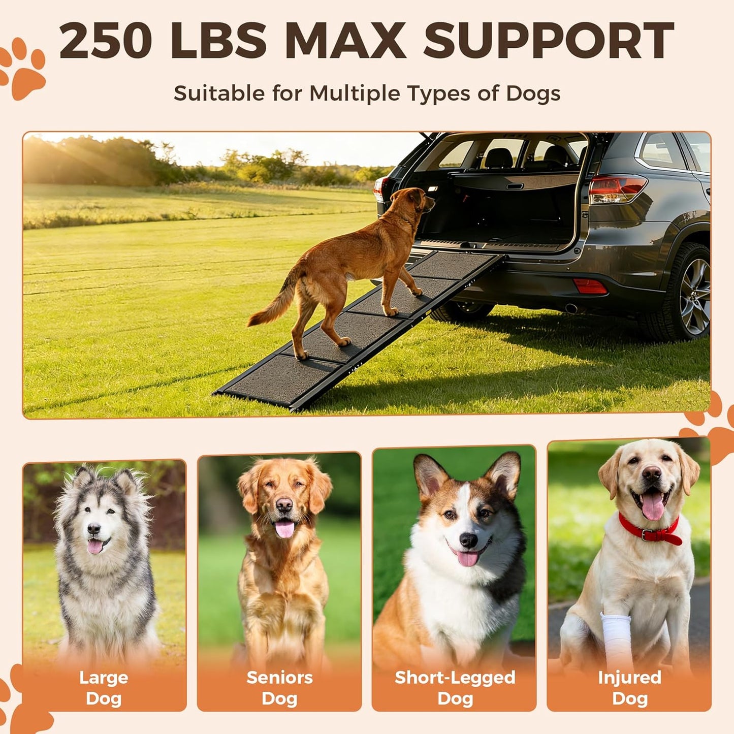 Dog Ramp for Car, 71" Extra-Long & 20" Wide Folding Pet Ramp for SUV & Truck, Heavy-Duty 250 lbs Support, Non-Slip Traction Surface, Portable Pet Ramp for Medium & Large Dogs