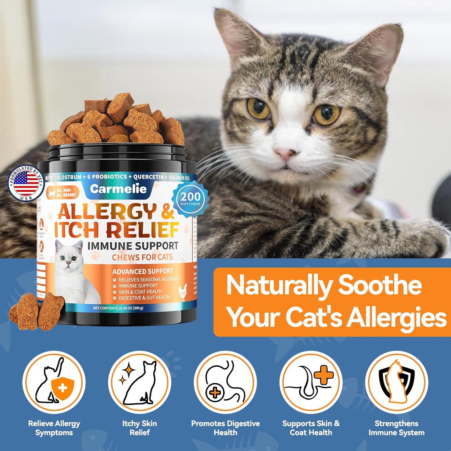 Dog & Cat Allergy Chews 200 Chews - Dog or Cat Itching Skin Relief Support - Omega 3 Probiotics- Itchy & Paw Licking Relief, Seasonal Allergies, Skin & Coat Immunity Supplement - Chicken Flavor