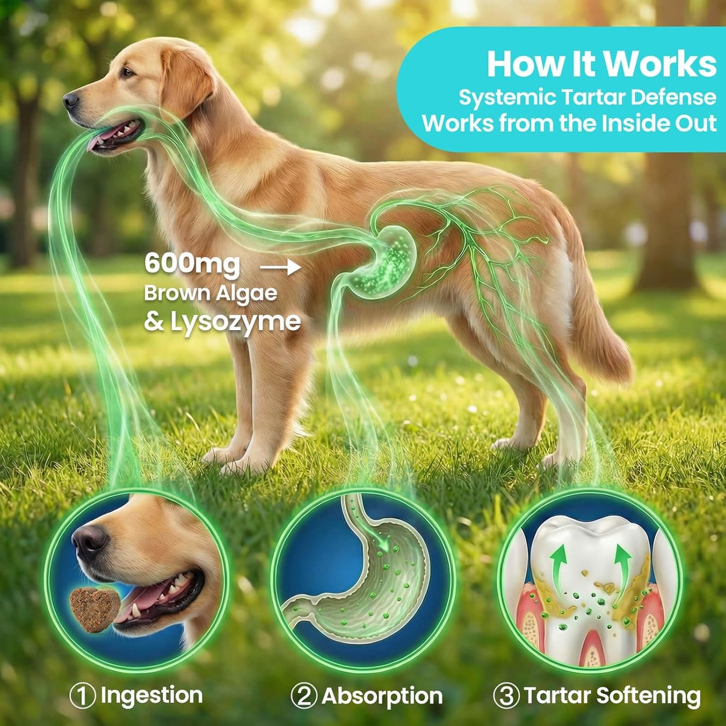 Dog Dental Chews for Bad Breath, Soft Chews – Plaque & Tartar Support, Breath Freshener – with Brown Algae (Kelp) + Probiotics, 60 Count