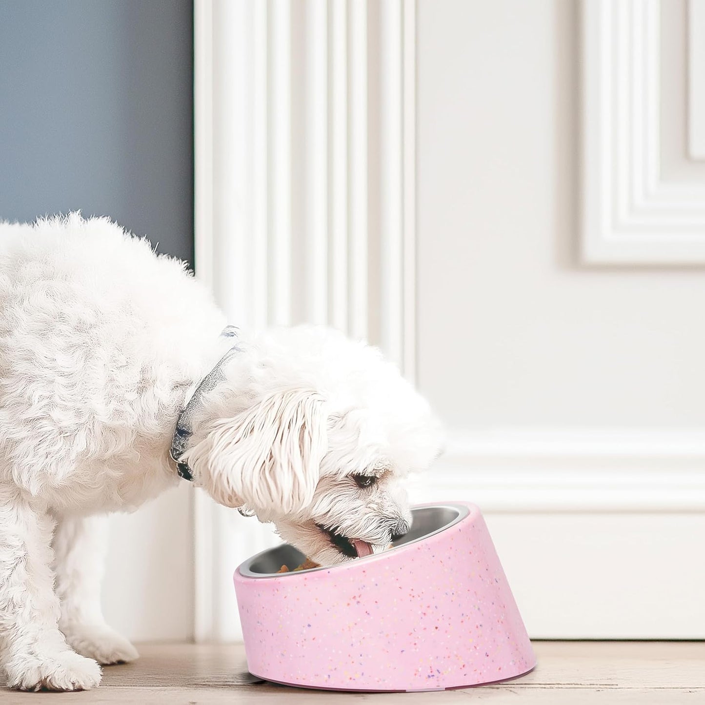 bzyoo 16oz Tilted Dog Bowl for Small Dogs & Cats, 15° Elevated Stainless Steel Pet Feeder, Ergonomic Anti-Vomiting Food Bowl for Frenchie, Pug, Persian Cat, Non-Skid Melamine Stand, Sprinkle (Blue)