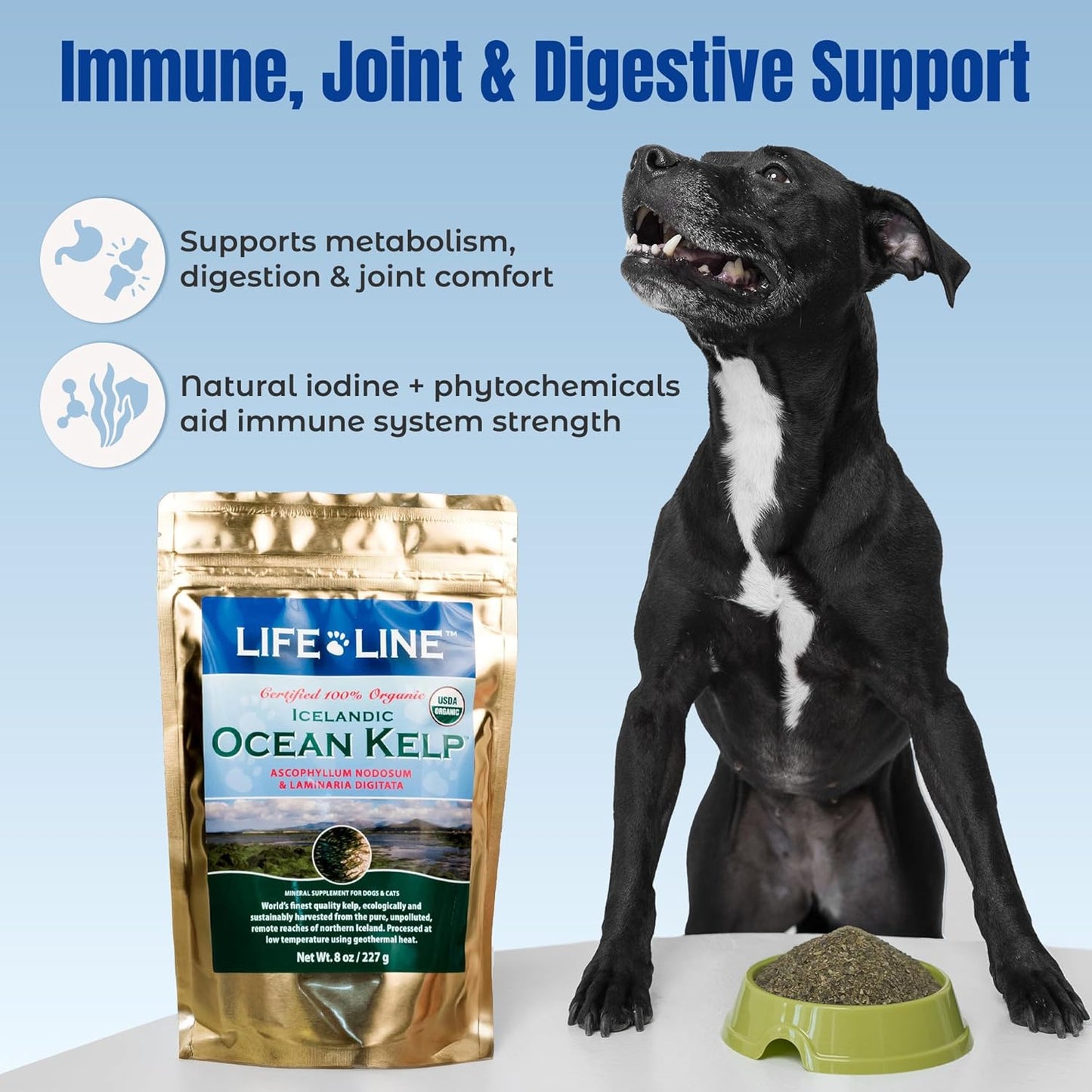 Life Line Organic Ocean Kelp Powder for Cats, Dogs, Livestock, and Horses – Natural Iodine Supplement for Healthy Skin, Coat, and Teeth – Reduces Plaque & Increases Metabolism - 8 oz