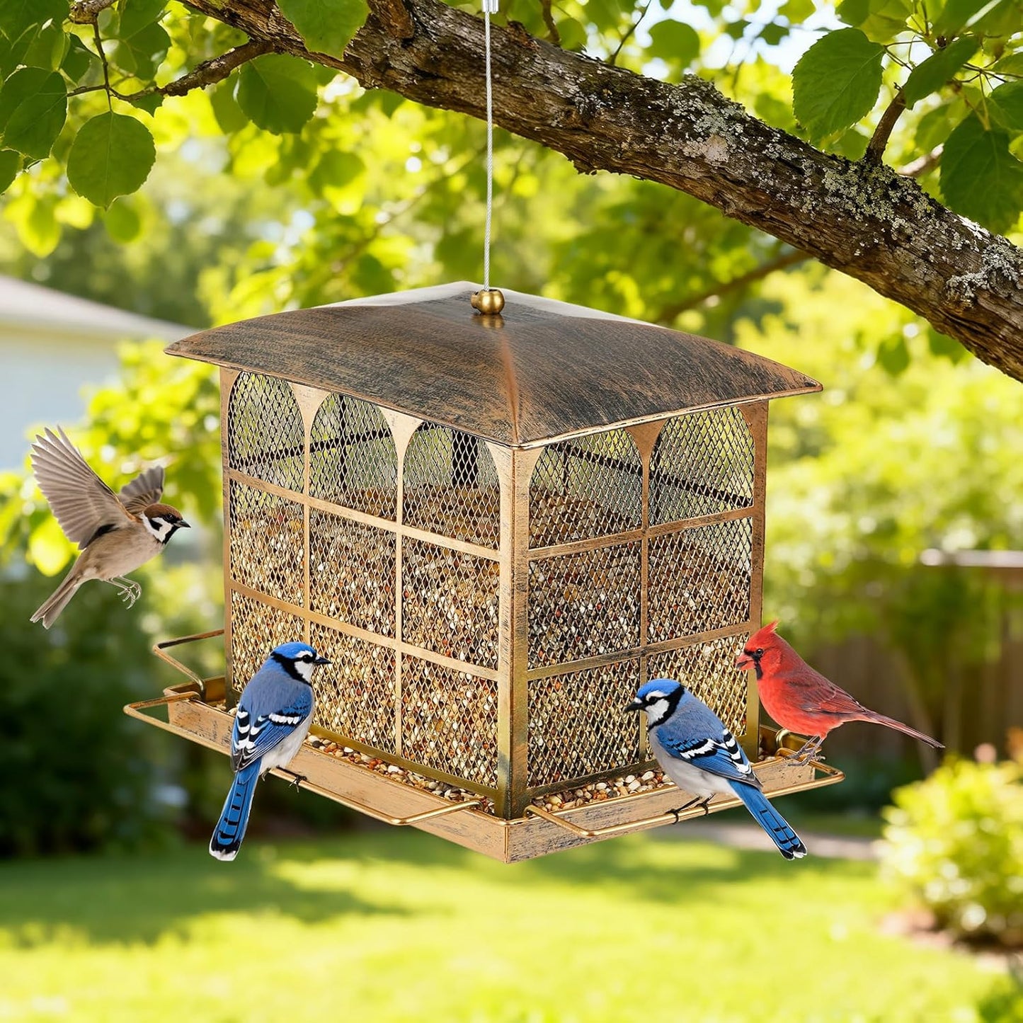 Large Bird Feeder, Heavy Duty Metal Bird Feeders for Outdoor Hanging, 9.5LB Seed Capacity Wild Birdfeeder for Outside Garden Decoration
