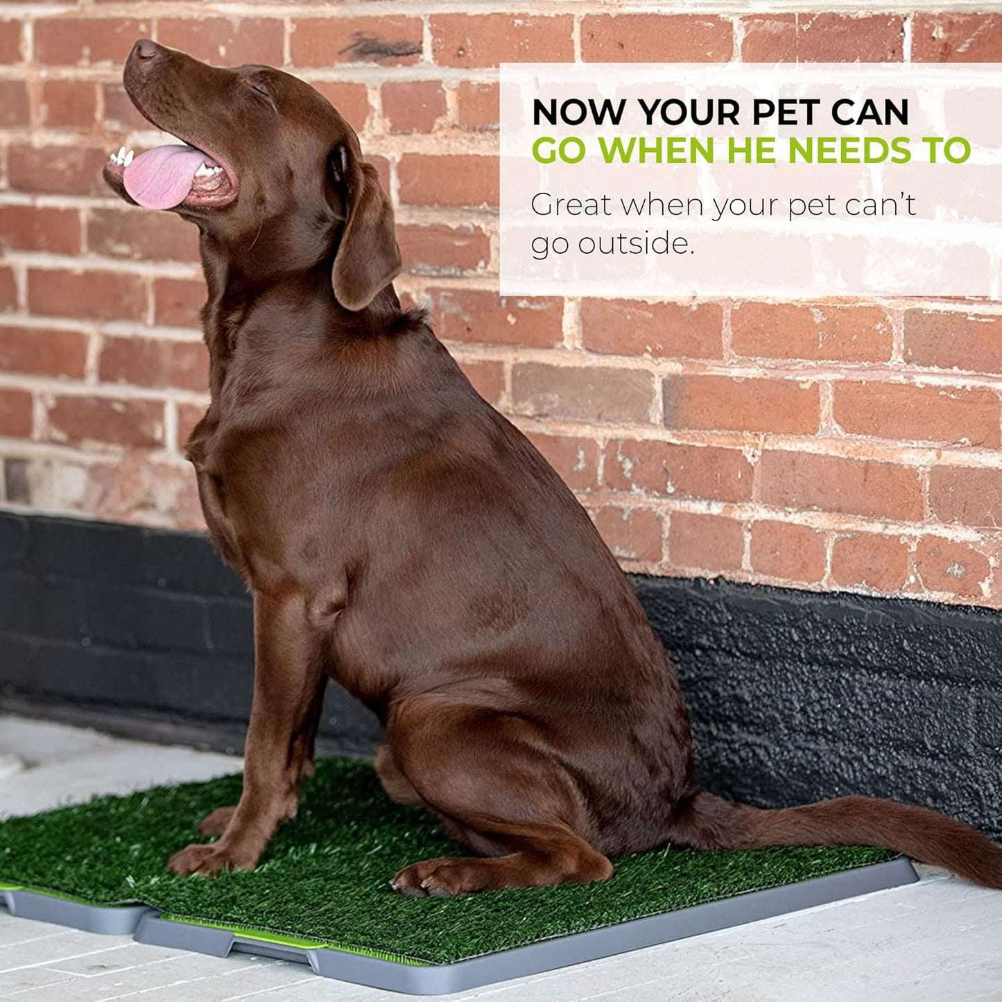 Potty Patch Dog Grass Pad Fake Grass for Dogs to Pee on, Indoor Dog Potty for Dogs Over 15lbs, Grass Pee Pads for Dogs with Tray, Replaces Disposable Puppy Pads (Large), Green, Large: 34" x 27"