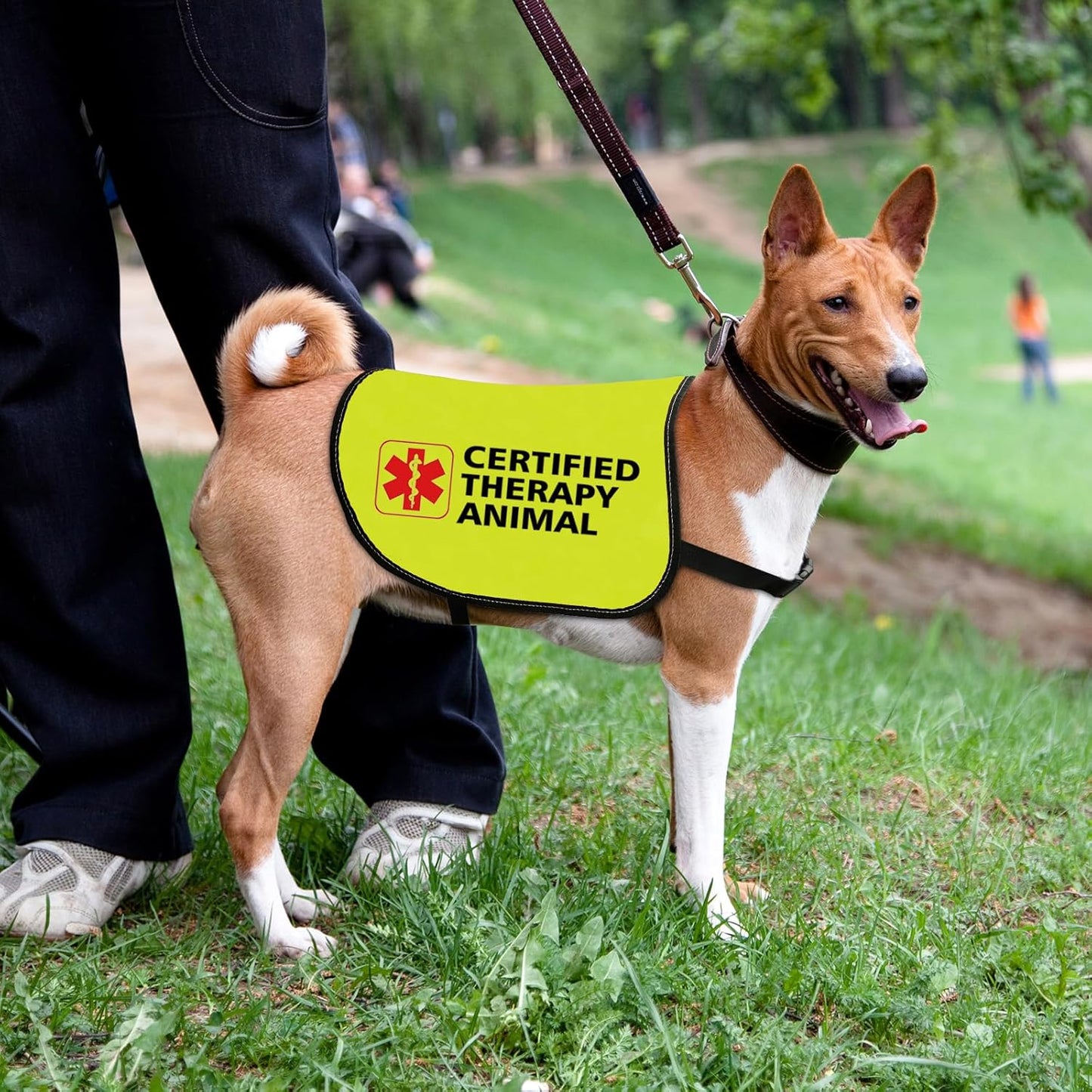 Therapy Dog Jacket Vest Certified Therapy Animal Dog Slogan Vest Social Distancing Gift Therapy Dog Team Gift (Certified Therapy-Medium)