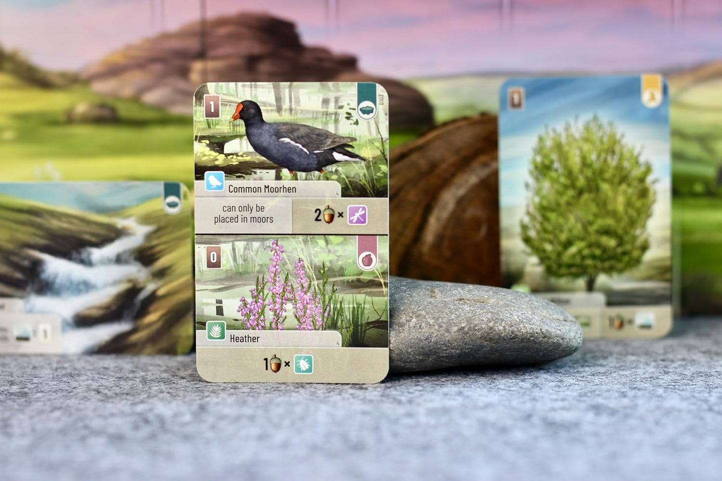 Forest Shuffle Dartmoor Card Game - Build Habitats, Place Trees & Attract Fauna in This Standalone Strategy Game for Kids & Adults, Ages 10+, 2-5 Players, 60 Min Playtime